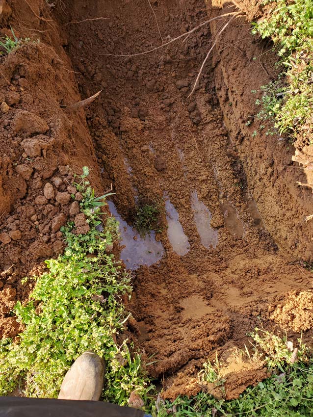 Proper maintenance can extend the lifespan of a septic system, saving homeowners money in the long run.