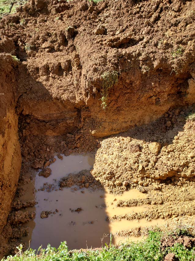 Long-term maintenance considerations for septic systems